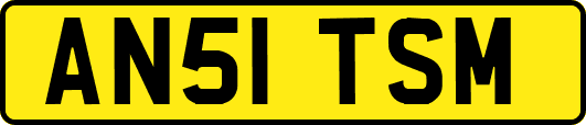 AN51TSM
