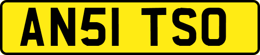 AN51TSO