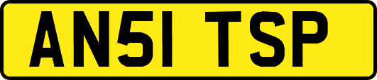 AN51TSP