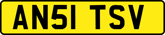 AN51TSV