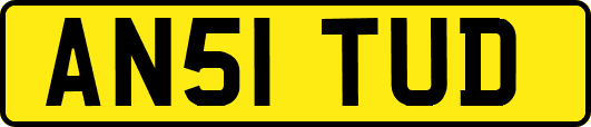 AN51TUD