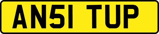 AN51TUP