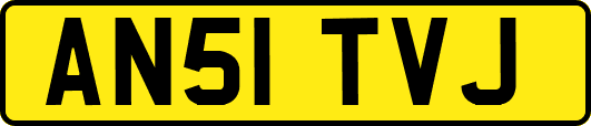 AN51TVJ