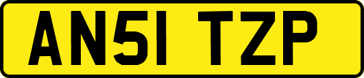 AN51TZP