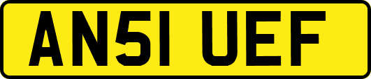 AN51UEF