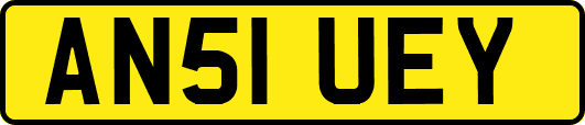 AN51UEY