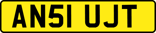 AN51UJT