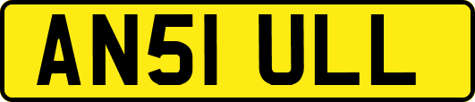 AN51ULL