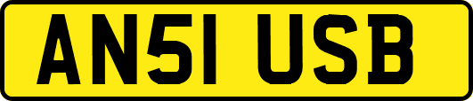 AN51USB