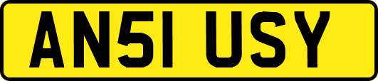 AN51USY