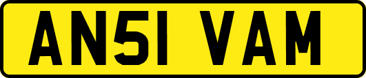 AN51VAM