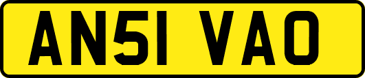 AN51VAO