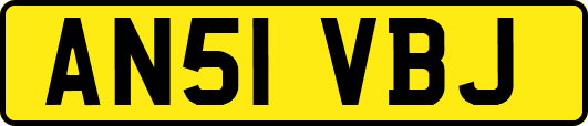 AN51VBJ
