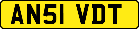AN51VDT