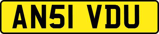 AN51VDU