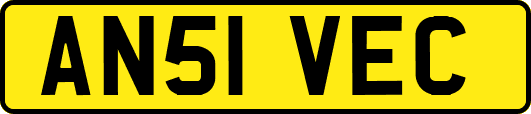 AN51VEC