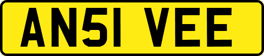 AN51VEE