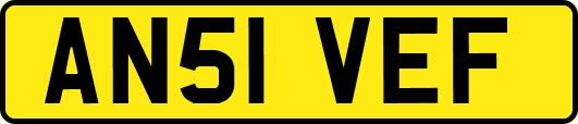 AN51VEF