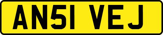 AN51VEJ