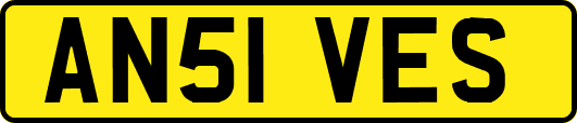 AN51VES