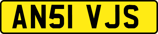 AN51VJS