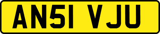 AN51VJU
