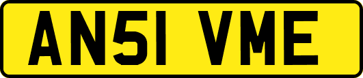 AN51VME