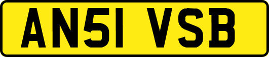 AN51VSB