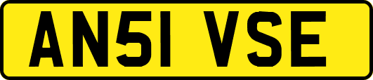 AN51VSE