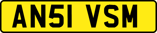 AN51VSM