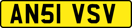 AN51VSV