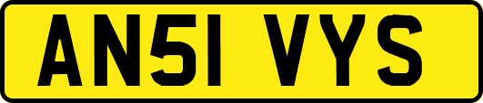 AN51VYS