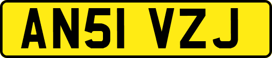 AN51VZJ
