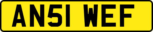 AN51WEF