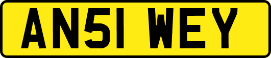 AN51WEY