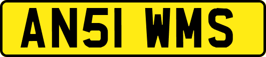 AN51WMS