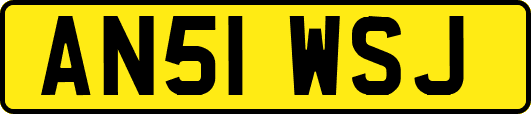 AN51WSJ