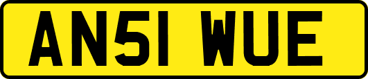 AN51WUE