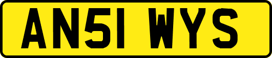 AN51WYS