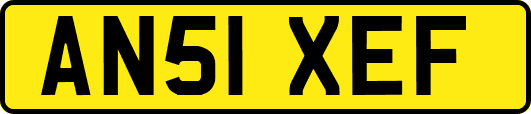 AN51XEF