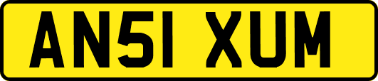AN51XUM