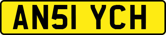 AN51YCH