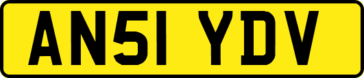 AN51YDV
