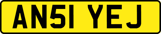 AN51YEJ