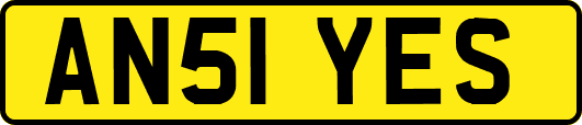 AN51YES
