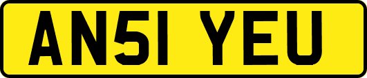 AN51YEU