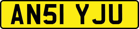 AN51YJU