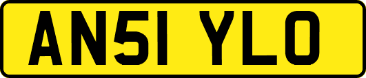 AN51YLO
