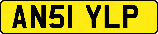 AN51YLP