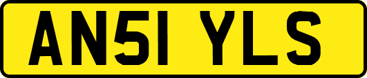 AN51YLS